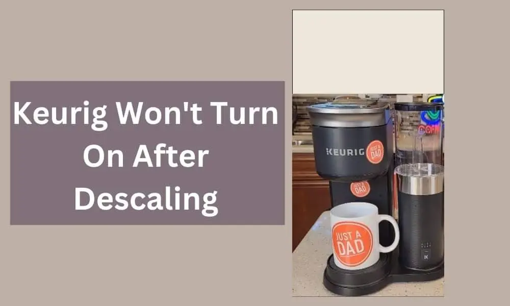 keurig won't turn on after descaling