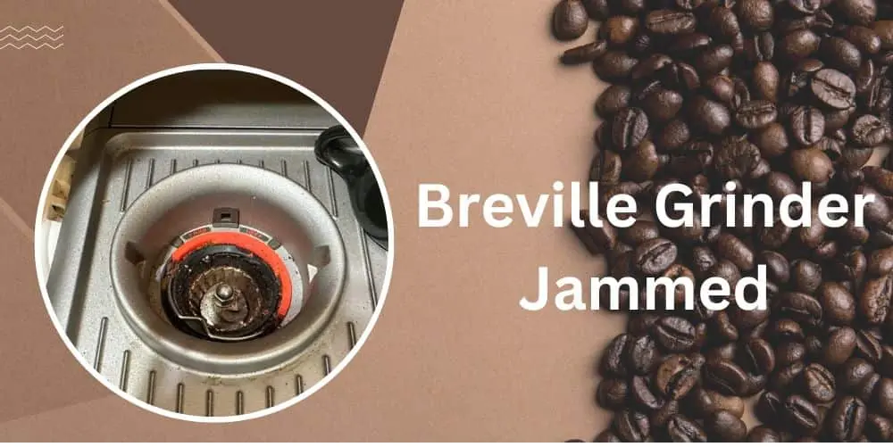 breville grinder jammed