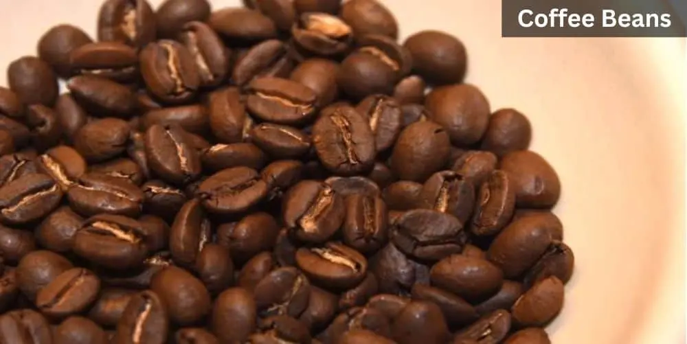 Using Quality Coffee Beans