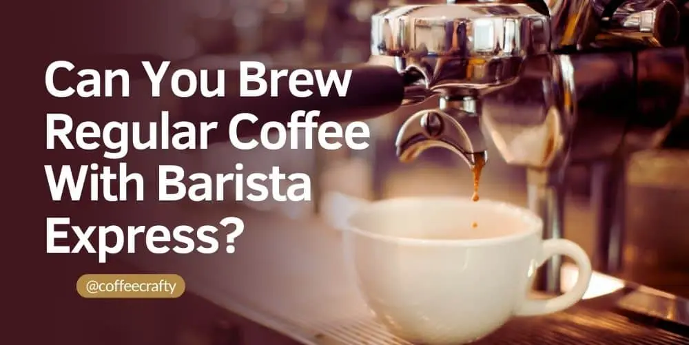 can you make regular coffee with breville barista express